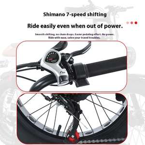 Vélo Électrique à Prix d'Usine, Design Simple et Élégant, en Acier <span class=keywords><strong>Carbone</strong></span>, Écologique, Vélo Tout-Terrain Électrique 48V - Product Image 2