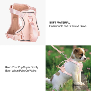 OEM Custom Solid Luxury Breathable <b>Dog</b> Harness Set Ribbons Nylon Leash Collar Padded Eco-Friendly Pet Harness Walking Training - Product Image 4