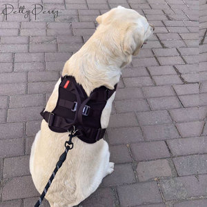 สายจูงสุนัขแบบไม่ต้องดึงสายรัดไนลอนพร้อมหัวเข็มขัดเรืองแสงสายจูงสุนัขขนาดใหญ่กลางขนาดเล็ก - Product Image 6