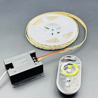 Bande lumineuse LED à double température de couleur DC12V 24V SMD 2835 240 LED/m IP20 10 mm de largeur 10W Rouleau de 10 m 3000K+6000K Lumières LED intelligentes