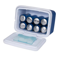 Glacière portable 8L Mini glacière isotherme Boîte à glace pour le camping en plein air Pique-nique Voiture 48H de rétention de la glace Boîte à glace pour aliments
