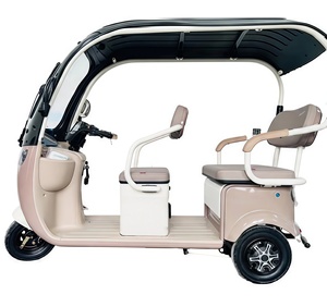 Tricycle électrique à 3 roues préféré des jeunes carrosserie ouverte voiture en acier 200kg charge utile motorisée CEE/Dot certifiée pour <span class=keywords><strong>passager</strong></span> - Product Image 5