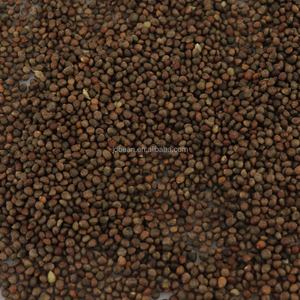Großhandel Suzi getrocknete lila schwarze Perilla-Samen Kräuter und Gewürze essbare kleine Perilla-Samen - Product Image 2