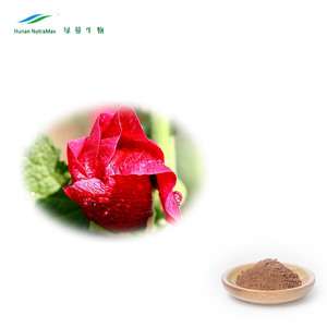 Extrait de racine d'Althaea Officinalis de haute qualité, extrait de racine d'<span class=keywords><strong>Althea</strong></span> 10:1, extrait naturel de feuille de guimauve pour produits sains - Product Image 3