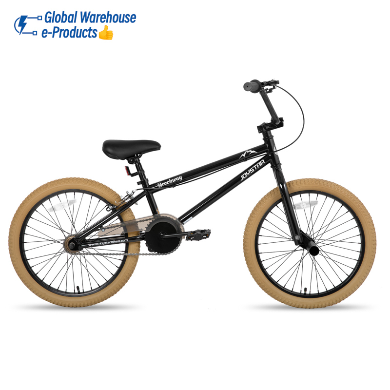 JOYKIE JOYSTAR 20 24 Inch BMX