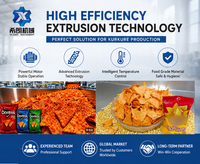 Ligne de production de produits alimentaires soufflés et frits sur mesure pour la fabrication de Bugles, de chips tortilla et de chips en forme de coquille