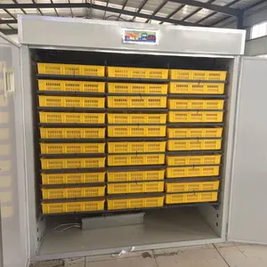 Mesin penetas telur ayam otomatis komersial dan pengatur semua dalam satu mesin penetas telur inkubator 5280 5280