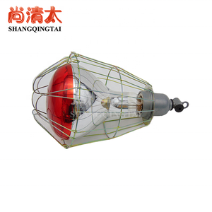 Nuova Lampada Riscaldante a Infrarossi da 175W per Polli, Cuccioli, Rettili, Bestiame e Volatili con Rete - 1 Anno di Garanzia - Product Image 5