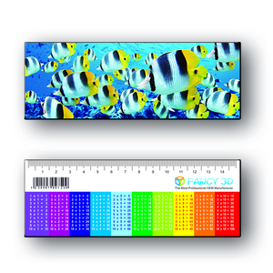 Vendita calda 15CM Logo personalizzato fatto da te 3D lenticolare stampa plastica senza righello pieghevole - Product Image 6