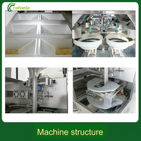 Machine automatique de fabrication et d'emballage de petits sachets pyramidaux en nylon pour le remplissage alimentaire, sachets triangulaires pour feuilles de thé, sachets de thé aux herbes en papier