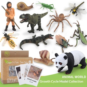 Figuras de Animales del Ciclo de Vida Montessori, Juguete Educativo Preescolar para Niños Pequeños, Juego de Material Didáctico - Product Image 4