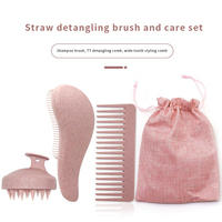 Ensemble professionnel de soins capillaires : Peigne démêlant à dents larges, Brosse démêlante, Brosse à shampoing laser avec manche en paille de blé et PC