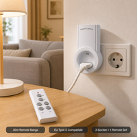 Prise française Prise Wise Télécommande Prise sans fil RF433 Longue Distance