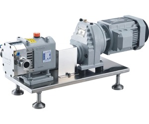 BOMBA DE LÓBINOS ROTATIVOS DE TRANSFERENCIA Serie RT - Product Image 1