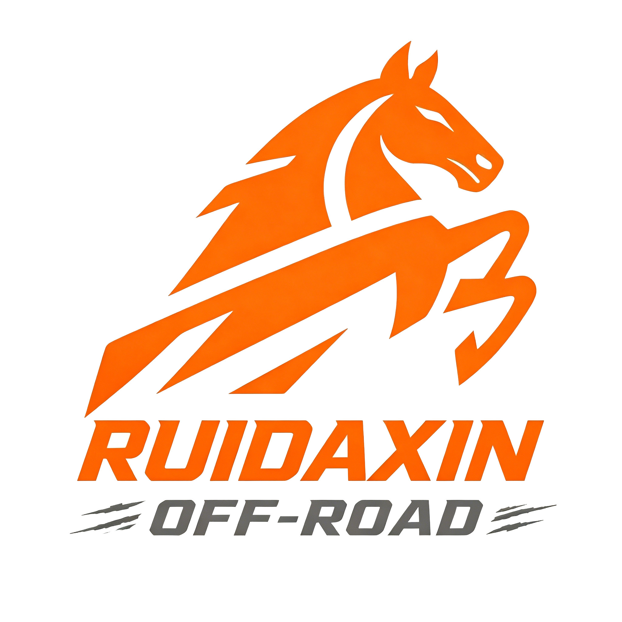 Sichuan Ruidaxin Auto Parts Co., Ltd. logo