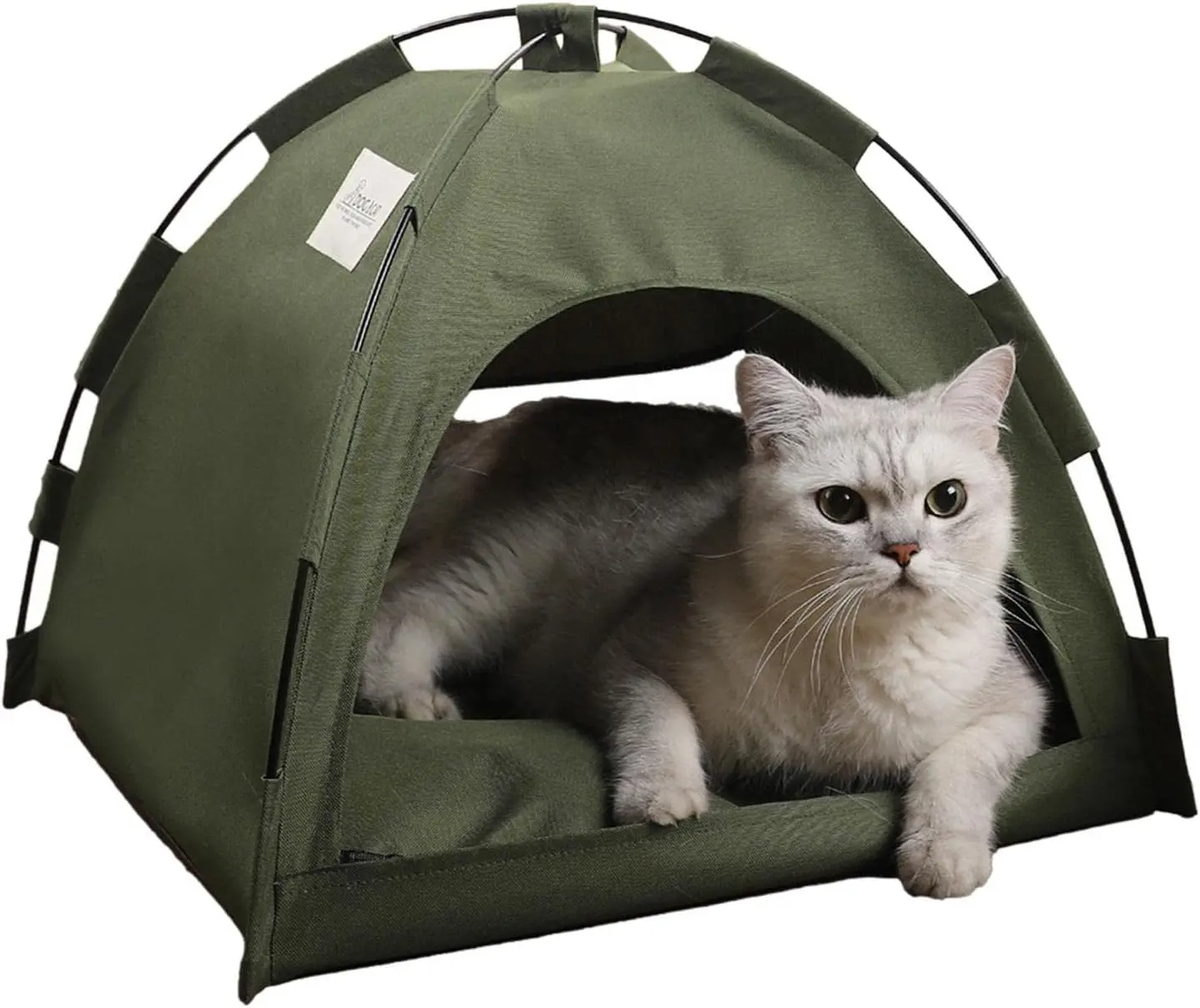 Pieghevole 2-in-1 con cuscino imbottito rimovibile piccolo Pet letto tenda per gatti da interno caldo per gatti