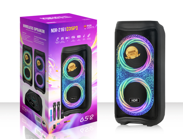 NDR-2161 DSP Powerful Speaker Dual 6.5 Inch Woofer 6000mAh Rechargeable Battery with 2 Wireless MIcrophones for Outdoor Use