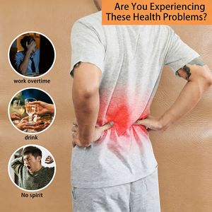 Té Nutritivo para la Salud Renal que Alivia las Molestias Lumbares para Hombres Sedentarios, Venta al Por Mayor - Product Image 6