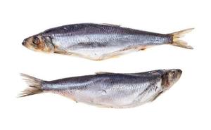 Porciones de Arenque Congelado Entero, Orgánico Premium, Sin Nicotina, Capturado en la Naturaleza, Alto en Proteínas, Bajo en Carbohidratos, Venta al Por Mayor para Servicios de Alimentación - Product Image 3