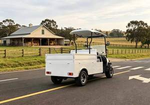 Carrito de Golf Eléctrico BETETEK de 2 Plazas, Diseño Moderno y Compacto, para Campos de Golf y Caminos Privados - Product Image 5