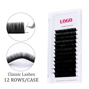 Big Fans Premade D Lash 5D Extension de cils individuels Extensions de cils coréens de qualité supérieure