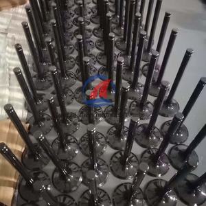 Válvula de escape de admisión LGH101450 para BMW E87 E46 <span class=keywords><strong>E39</strong></span> E60 E61 E53 M47 M57 N57N 306D2 306D3 306D5 MG Rover 204D2 válvula Tappet - Product Image 5