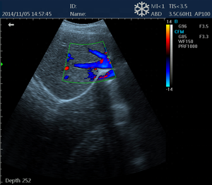 Échographe vétérinaire Kaixin DCU12 à prix avantageux et échographe vétérinaire numérique portable avec Doppler couleur et qualité supérieure - Product Image 5