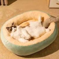 Coussin pour animaux de compagnie pliable, doublure intérieure en peluche douce et respirante, base lavable et antidérapante, adapté à toutes les saisons