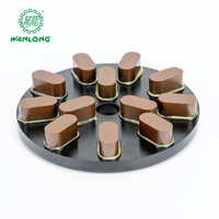 Wanlong abrasif polissage meulage résine Bond roue disque Pad chinois polonais Machine