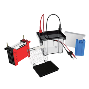 Thiết bị phòng thí nghiệm máy dọc ngang bộ máy agarose gel điện hệ thống xe tăng cho phòng thí nghiệm - Product Image 2
