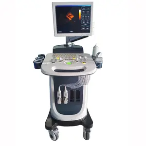 Ecografo kỹ thuật số tim máy siêu âm DOPPLER màu 3D 4D máy siêu âm y tế Echo máy siêu âm cho PR