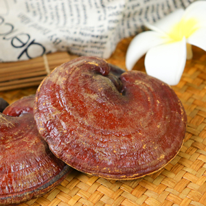 Linh Chi Linh Chi Toàn Bộ Khô Linh Chi Linh Chi Đỏ Linh Chi <span class=keywords><strong>Lucidum</strong></span> - Product Image 5