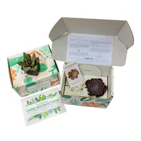 Boîtes d'emballage à base de plantes en pot ondulé avec logo personnalisé, boîte d'expédition de courrier pour plantes, boîtes d'emballage pour plantes