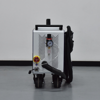 Machine de nettoyage au laser pulsé 100W, mini portable, pour la restauration de micro-moules, équipement de polissage de précision des métaux