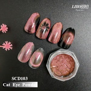 Poudre magnétique verte éclatante effet œil de chat LIBO pour nail art – Collection été - Product Image 4
