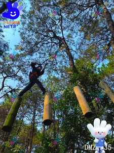 Stahl & HDPE Nylon Regenbogen-Baumspielplatz Kletterseilnetz für Außen/Innen Erweiterungspark Vergnügungsfahrt CE-Zertifiziert für Kinder - Product Image 3