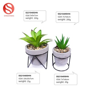 Personnalisez le nouveau pot de plantes succulentes de couleur de ciment le plus populaire de conception avec le cadre de fer - Product Image 2