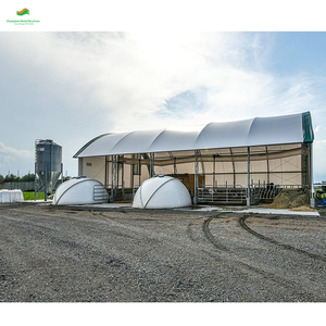 Tente d'entreposage à froid industriel de bâtiment en tissu robuste certifiée CE de 30x40ft pour véhicules Carports Garages Auvents et Carports - Product Image 3