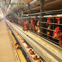 Cage à poulets de type H pour équipement avicole, prête à être expédiée, système de cage à poulets automatique en fil de fer galvanisé soudé