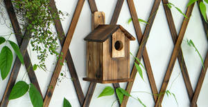 Junji Beste Houten Vogelhuisje Nieuwe Ceder Houten Decoratief Hangend Nest Luxe Moderne Nieuwigheid Gedrukt Patroon Rustiek Houten Vogelhuisje - Product Image 3