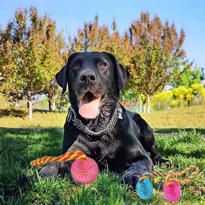 Materiale sicuro Design eccellente durevole palle cane giocattoli interattivi per animali domestici con la corda - Product Image 2