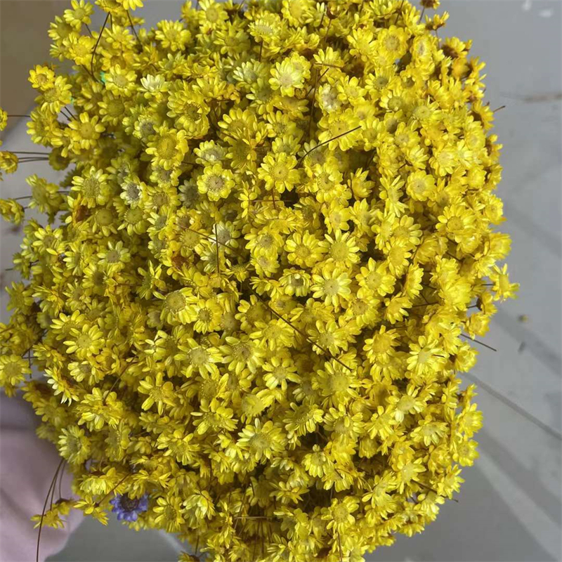 Giallo
