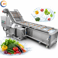 Fabrieksdirect, populaire automatische fruit- en groentewasmachine met luchtbellen