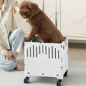 Vật Nuôi Gấp Mua Sắm Giỏ Hàng 4 Bánh Xe Dễ Dàng Có Thể Gập Lại Du Lịch Giỏ Hàng Mèo Con Chó Có Thể Tháo Rời Có Thể Tháo Rời Lưu Trữ Di Động Xe Đẩy Con Chó Con Đi Bộ - Product Image 5