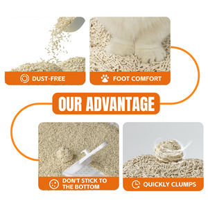 La lettiera per <span class=keywords><strong>gatti</strong></span> più venduta di alta qualità OEM ODM Catsand forte deodora senza odore lettiera per <span class=keywords><strong>gatti</strong></span> Tofu lavabile - Product Image 3