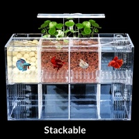 Aquarium d'isolement pour poissons Betta en acrylique, multi-compartiments, pompe à eau, filtre, pas de changement d'eau requis