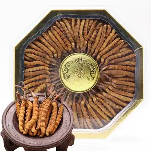 Poudre d'extrait de Cordyceps sinensis entier de haute qualité acheter cordyceps sinensis