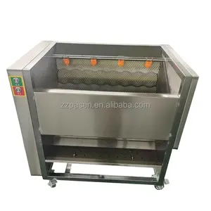 Nice quality fresh dates cleaning machine Palm dates washing cleaning machine soft brush dates washer cleaner machine