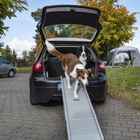 Rampe pliable et repliable pour chien, en plastique de luxe, moderne, simple, amovible, lavable, escalier pour animaux de compagnie, marches multifonctionnelles pour l'extérieur