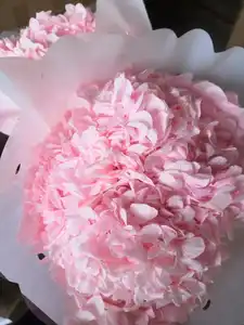 2022 Ins Popular Release Green Preserved Big Leaf Hydrangeas Preserved Hydrangea Flowers For Wedding Decoration